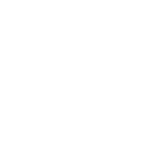 Scarab