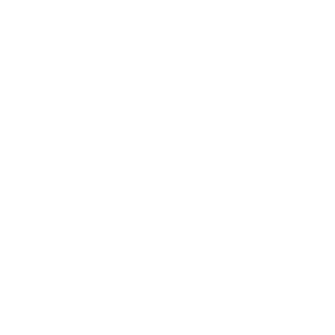 Medal Last Man Standing