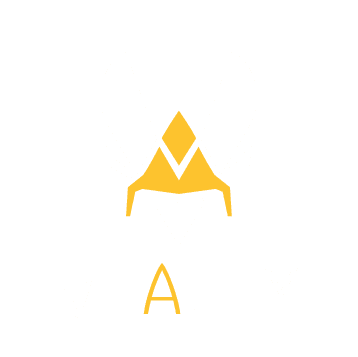 Team Vitality